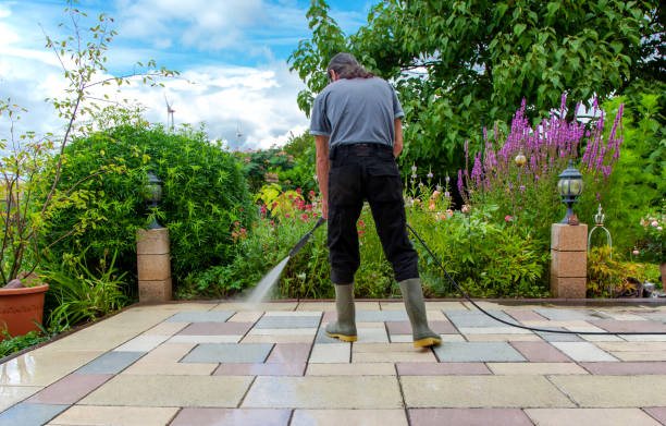 Best Fence Cleaning  in St Charles, IL